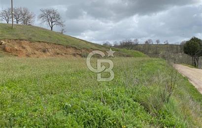 CB LEADER DAN SATILIK TARLA VE ARSA