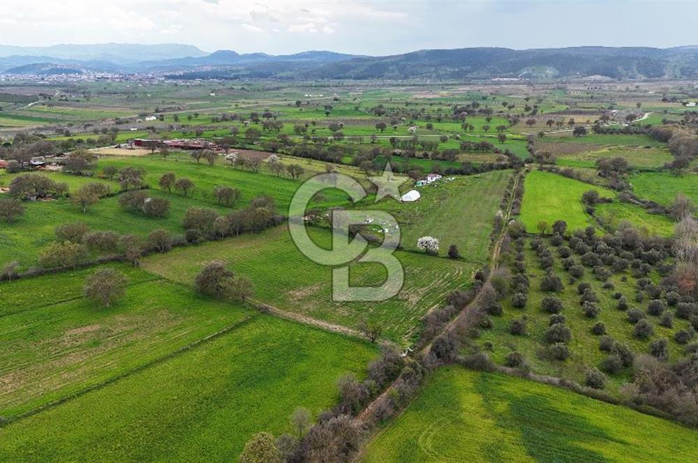 Çanakkale Ezine Akköy 7.500 m2 Köye Yakın Satılık Tarla