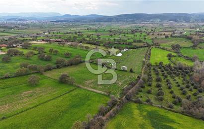 Çanakkale Ezine Akköy 7.500 m2 Köye Yakın Satılık Tarla