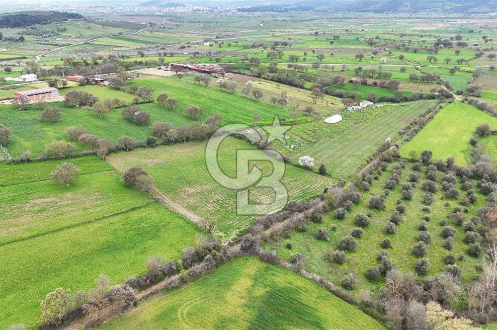 Çanakkale Ezine Akköy 7.500 m2 Köye Yakın Satılık Tarla