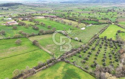 Çanakkale Ezine Akköy 7.500 m2 Köye Yakın Satılık Tarla