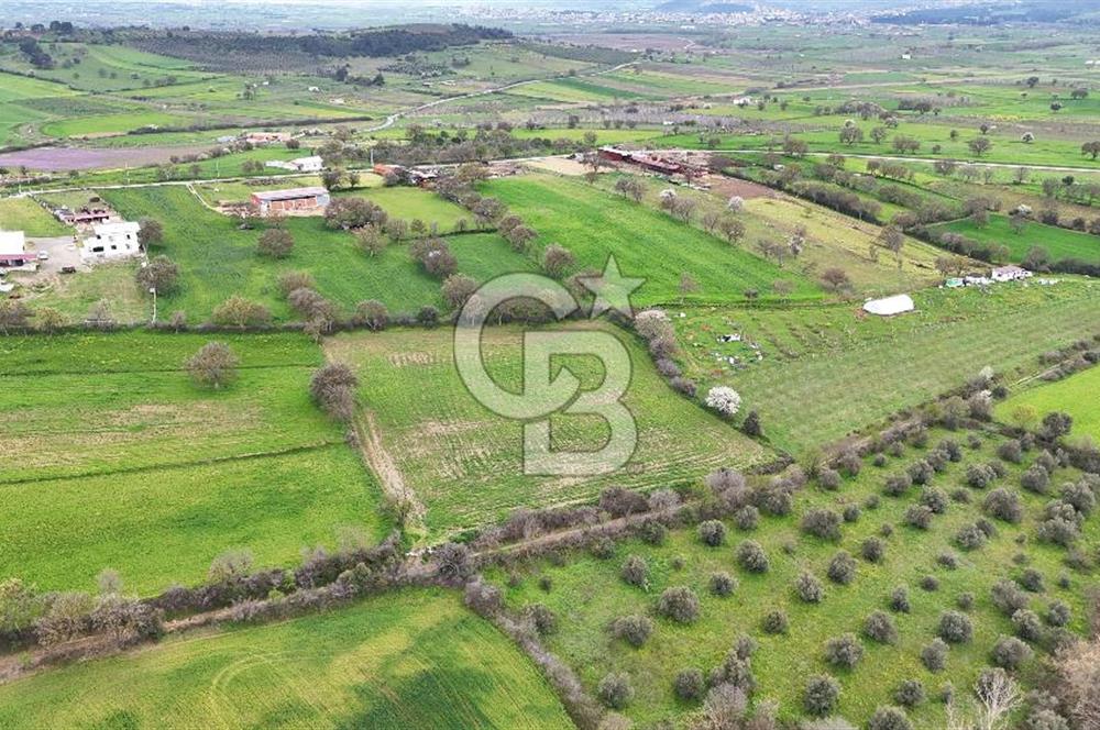 Çanakkale Ezine Akköy 7.500 m2 Köye Yakın Satılık Tarla