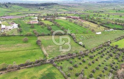 Çanakkale Ezine Akköy 7.500 m2 Köye Yakın Satılık Tarla