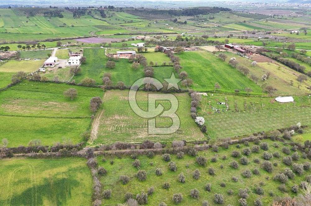 Çanakkale Ezine Akköy 7.500 m2 Köye Yakın Satılık Tarla