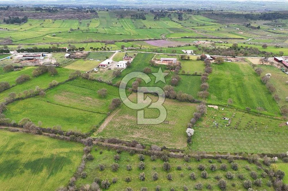 Çanakkale Ezine Akköy 7.500 m2 Köye Yakın Satılık Tarla