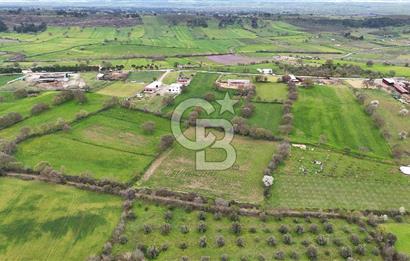 Çanakkale Ezine Akköy 7.500 m2 Köye Yakın Satılık Tarla