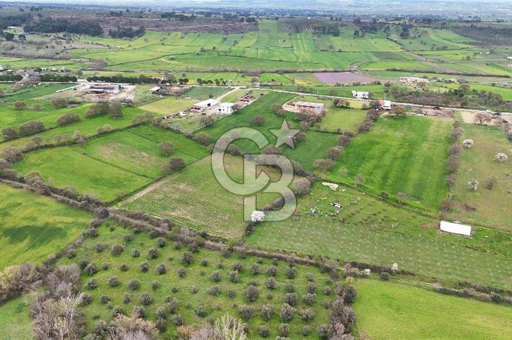 Çanakkale Ezine Akköy 7.500 m2 Köye Yakın Satılık Tarla