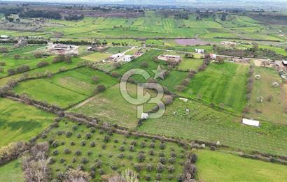 Çanakkale Ezine Akköy 7.500 m2 Köye Yakın Satılık Tarla
