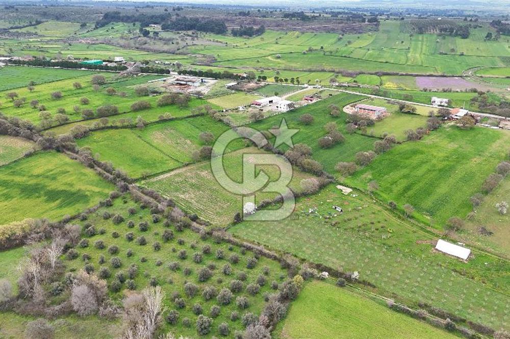 Çanakkale Ezine Akköy 7.500 m2 Köye Yakın Satılık Tarla