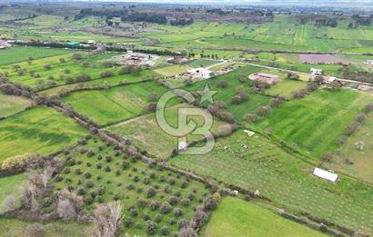 Çanakkale Ezine Akköy 7.500 m2 Köye Yakın Satılık Tarla
