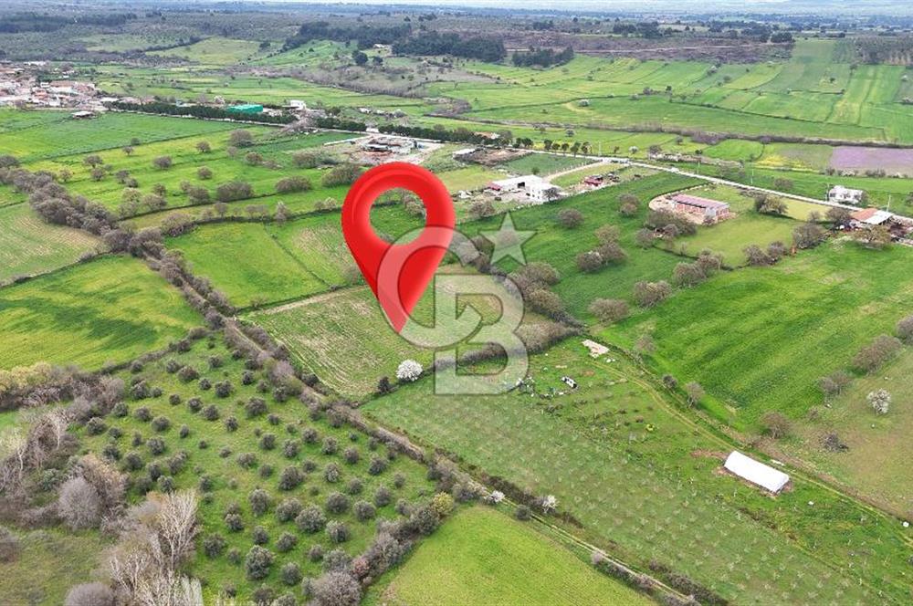 Çanakkale Ezine Akköy 7.500 m2 Köye Yakın Satılık Tarla