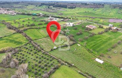Çanakkale Ezine Akköy 7.500 m2 Köye Yakın Satılık Tarla