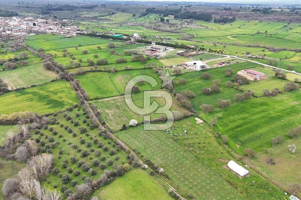 Çanakkale Ezine Akköy 7.500 m2 Köye Yakın Satılık Tarla