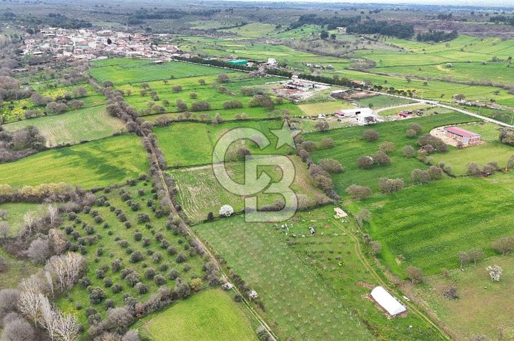 Çanakkale Ezine Akköy 7.500 m2 Köye Yakın Satılık Tarla