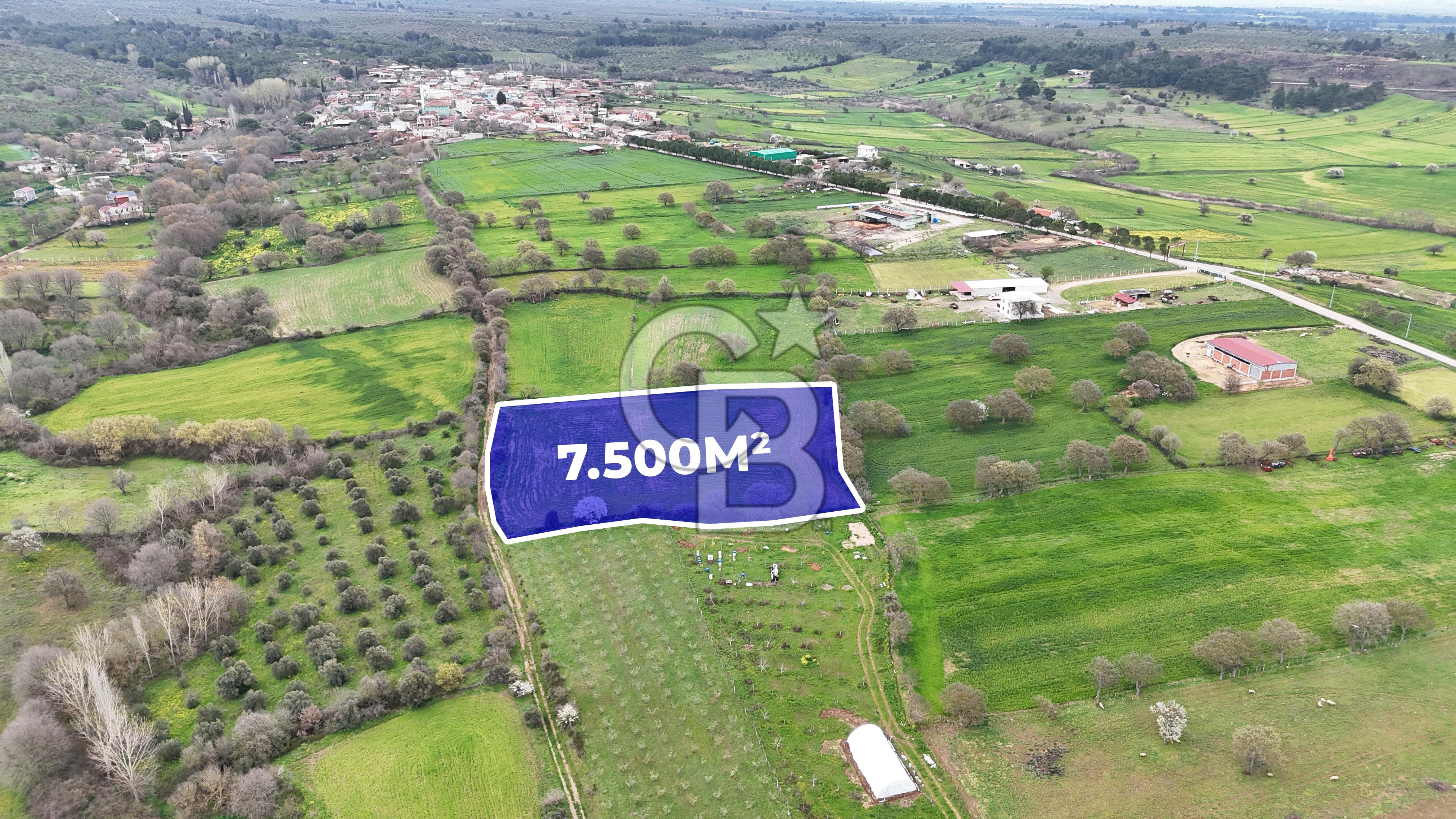 Çanakkale Ezine Akköy 7.500 m2 Köye Yakın Satılık Tarla