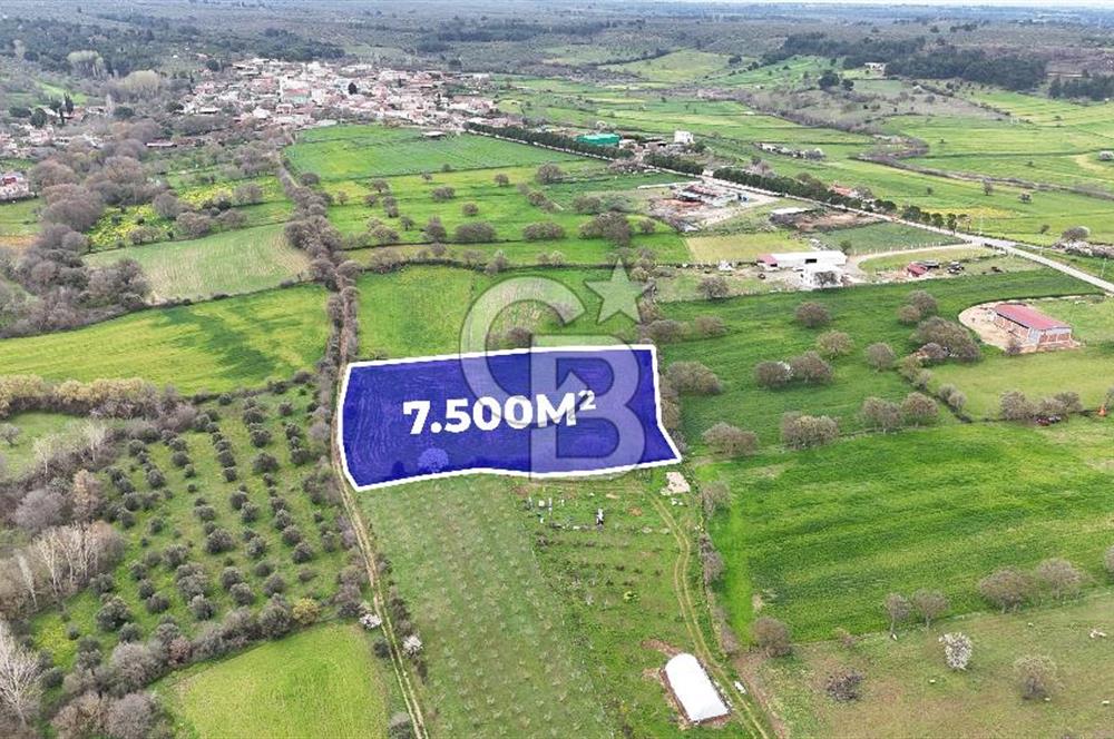 Çanakkale Ezine Akköy 7.500 m2 Köye Yakın Satılık Tarla