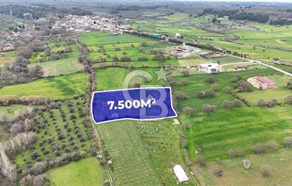 Çanakkale Ezine Akköy 7.500 m2 Köye Yakın Satılık Tarla