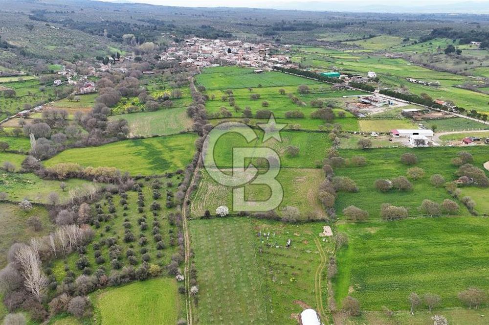 Çanakkale Ezine Akköy 7.500 m2 Köye Yakın Satılık Tarla