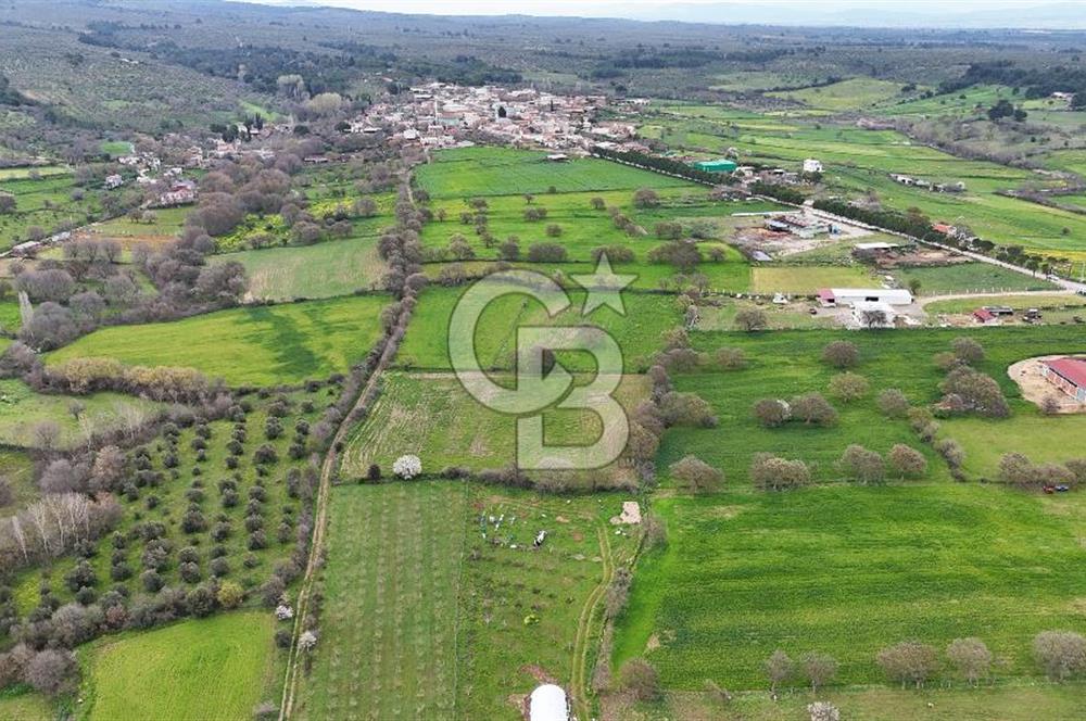 Çanakkale Ezine Akköy 7.500 m2 Köye Yakın Satılık Tarla