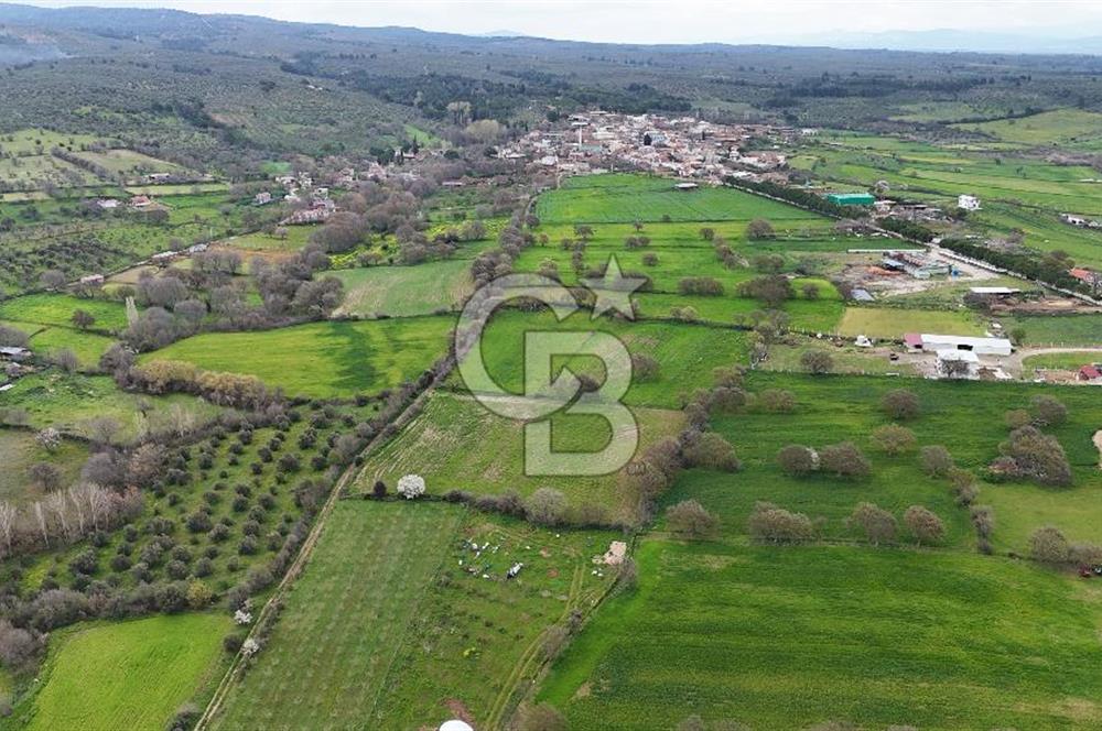 Çanakkale Ezine Akköy 7.500 m2 Köye Yakın Satılık Tarla