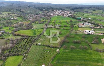 Çanakkale Ezine Akköy 7.500 m2 Köye Yakın Satılık Tarla