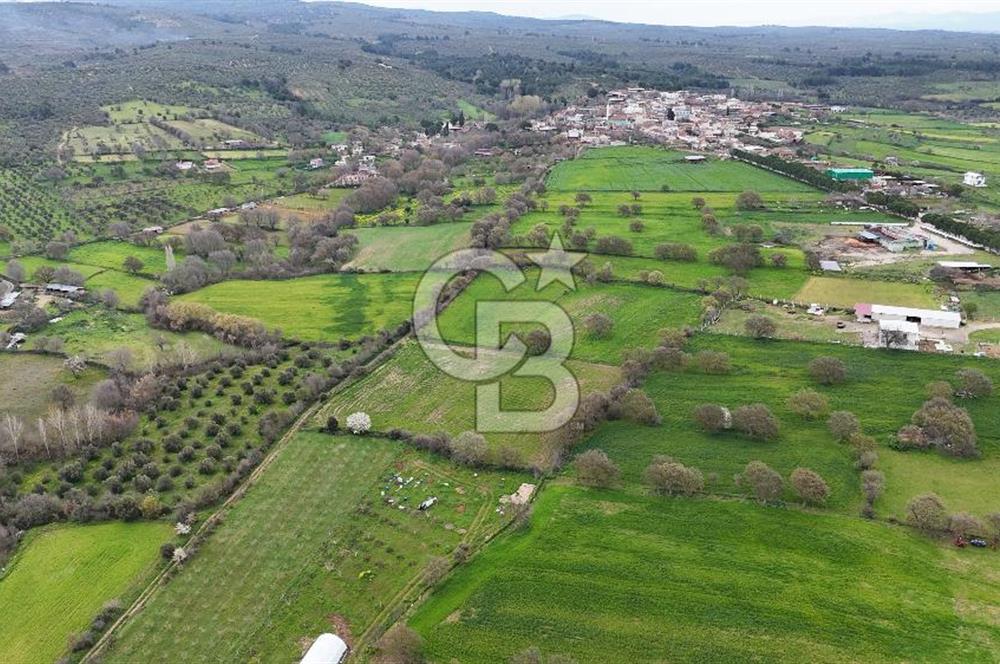 Çanakkale Ezine Akköy 7.500 m2 Köye Yakın Satılık Tarla