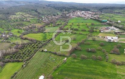 Çanakkale Ezine Akköy 7.500 m2 Köye Yakın Satılık Tarla