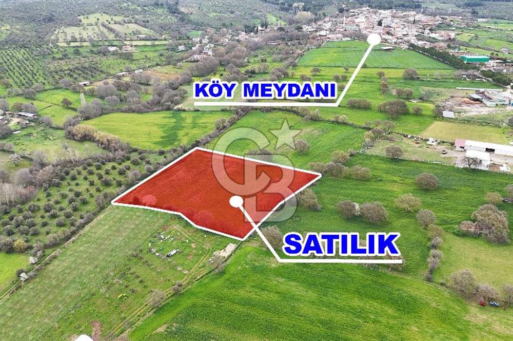 Çanakkale Ezine Akköy 7.500 m2 Köye Yakın Satılık Tarla