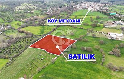 Çanakkale Ezine Akköy 7.500 m2 Köye Yakın Satılık Tarla