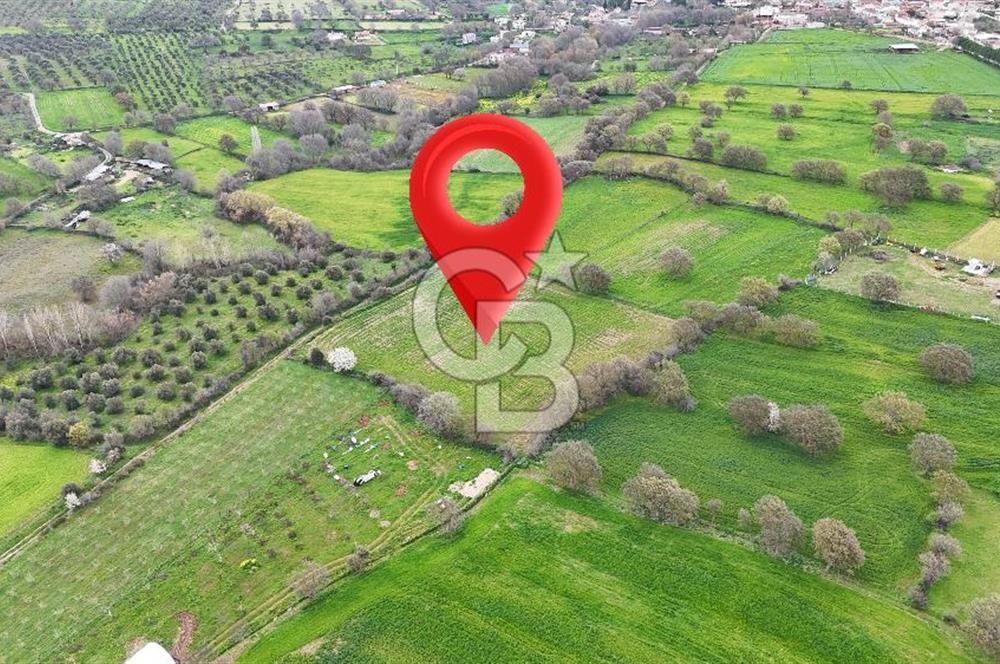 Çanakkale Ezine Akköy 7.500 m2 Köye Yakın Satılık Tarla