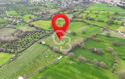 Çanakkale Ezine Akköy 7.500 m2 Köye Yakın Satılık Tarla