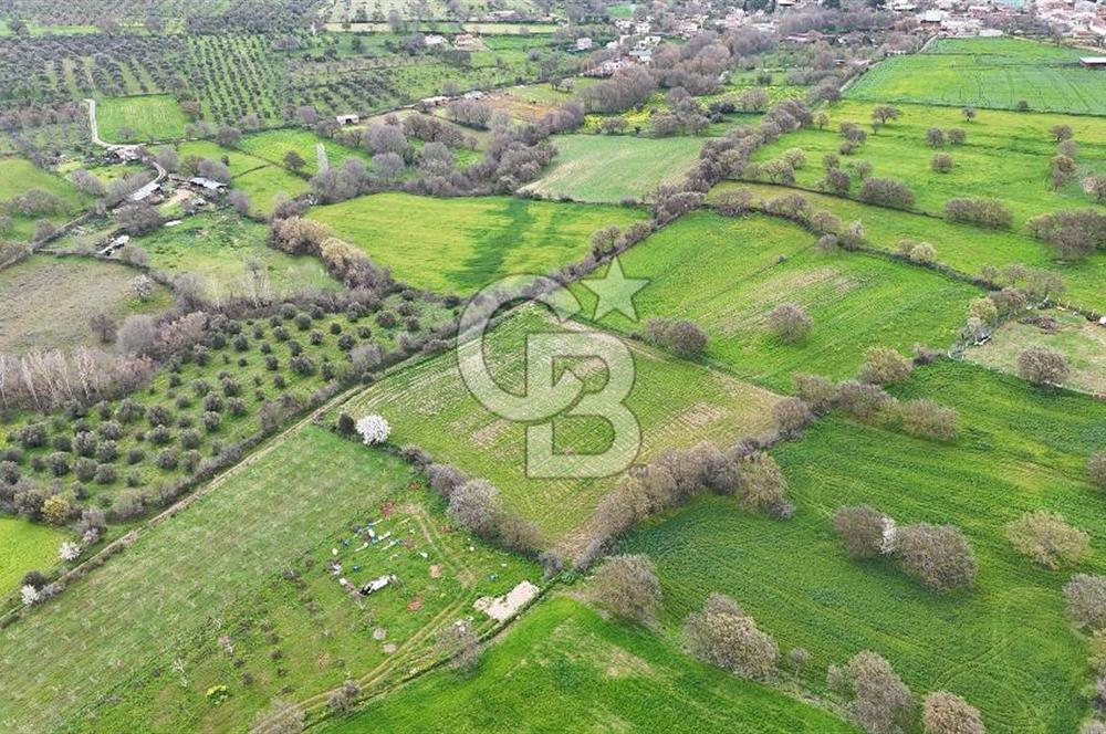 Çanakkale Ezine Akköy 7.500 m2 Köye Yakın Satılık Tarla