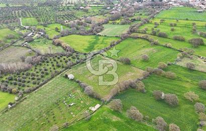 Çanakkale Ezine Akköy 7.500 m2 Köye Yakın Satılık Tarla