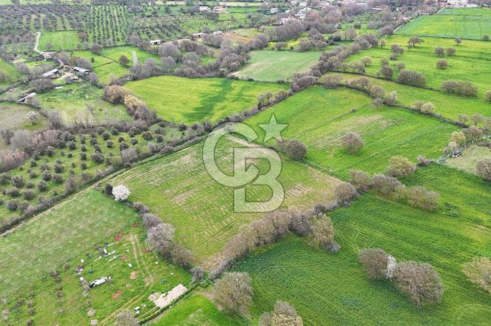 Çanakkale Ezine Akköy 7.500 m2 Köye Yakın Satılık Tarla