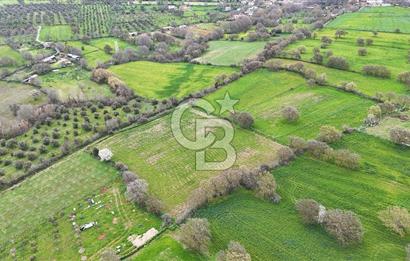 Çanakkale Ezine Akköy 7.500 m2 Köye Yakın Satılık Tarla