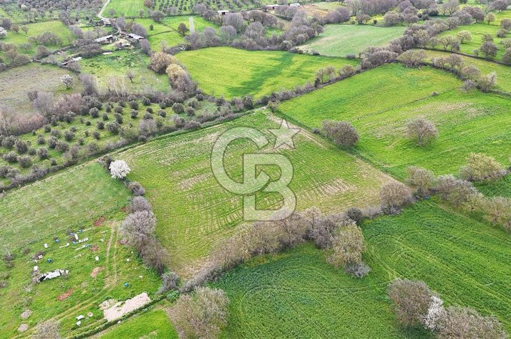 Çanakkale Ezine Akköy 7.500 m2 Köye Yakın Satılık Tarla