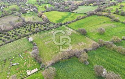 Çanakkale Ezine Akköy 7.500 m2 Köye Yakın Satılık Tarla