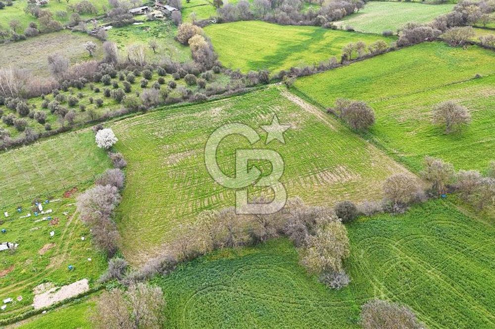 Çanakkale Ezine Akköy 7.500 m2 Köye Yakın Satılık Tarla