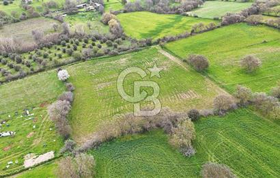 Çanakkale Ezine Akköy 7.500 m2 Köye Yakın Satılık Tarla