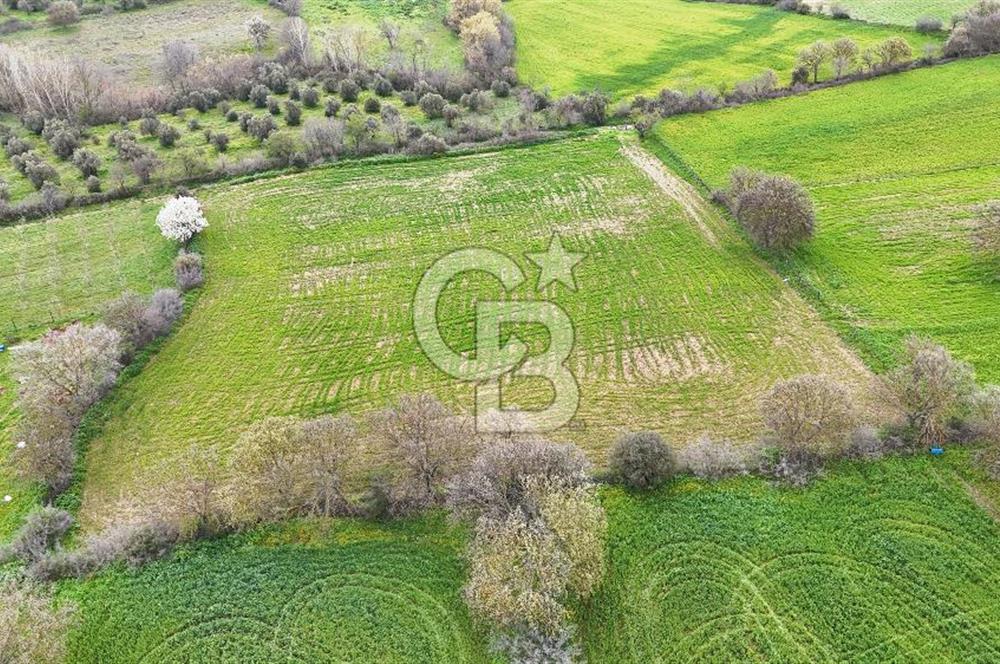 Çanakkale Ezine Akköy 7.500 m2 Köye Yakın Satılık Tarla
