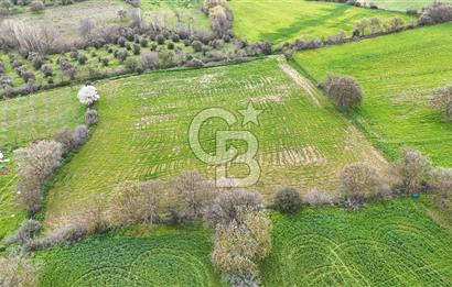 Çanakkale Ezine Akköy 7.500 m2 Köye Yakın Satılık Tarla