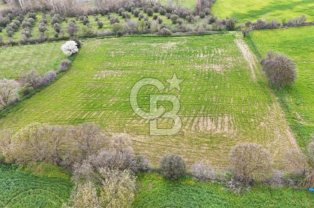 Çanakkale Ezine Akköy 7.500 m2 Köye Yakın Satılık Tarla