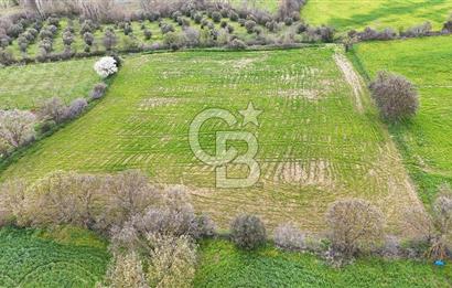Çanakkale Ezine Akköy 7.500 m2 Köye Yakın Satılık Tarla
