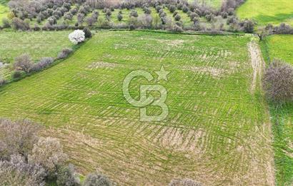 Çanakkale Ezine Akköy 7.500 m2 Köye Yakın Satılık Tarla