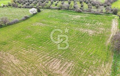 Çanakkale Ezine Akköy 7.500 m2 Köye Yakın Satılık Tarla