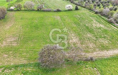 Çanakkale Ezine Akköy 7.500 m2 Köye Yakın Satılık Tarla