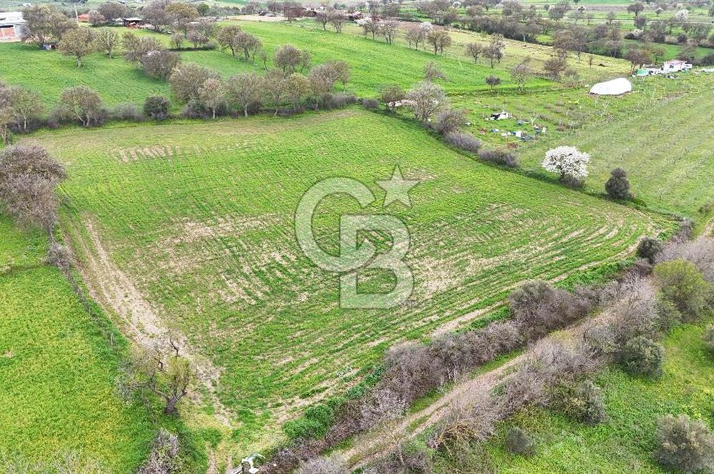 Çanakkale Ezine Akköy 7.500 m2 Köye Yakın Satılık Tarla