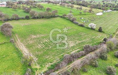 Çanakkale Ezine Akköy 7.500 m2 Köye Yakın Satılık Tarla