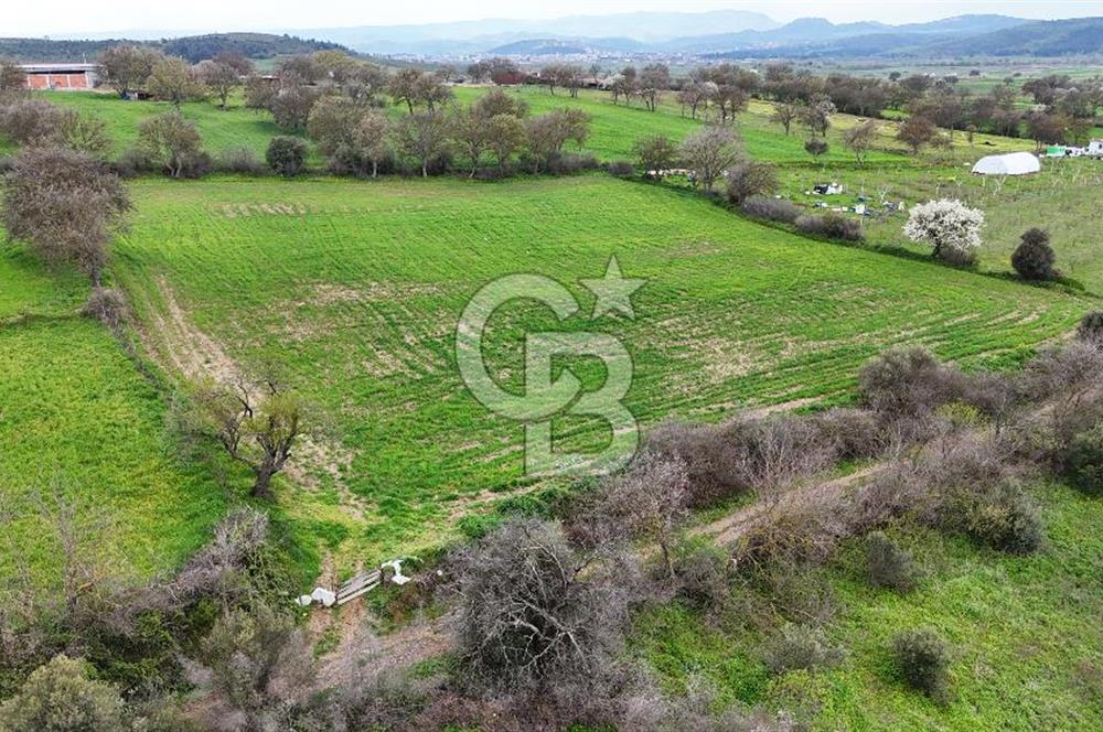 Çanakkale Ezine Akköy 7.500 m2 Köye Yakın Satılık Tarla