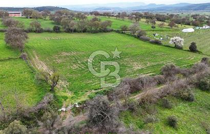 Çanakkale Ezine Akköy 7.500 m2 Köye Yakın Satılık Tarla